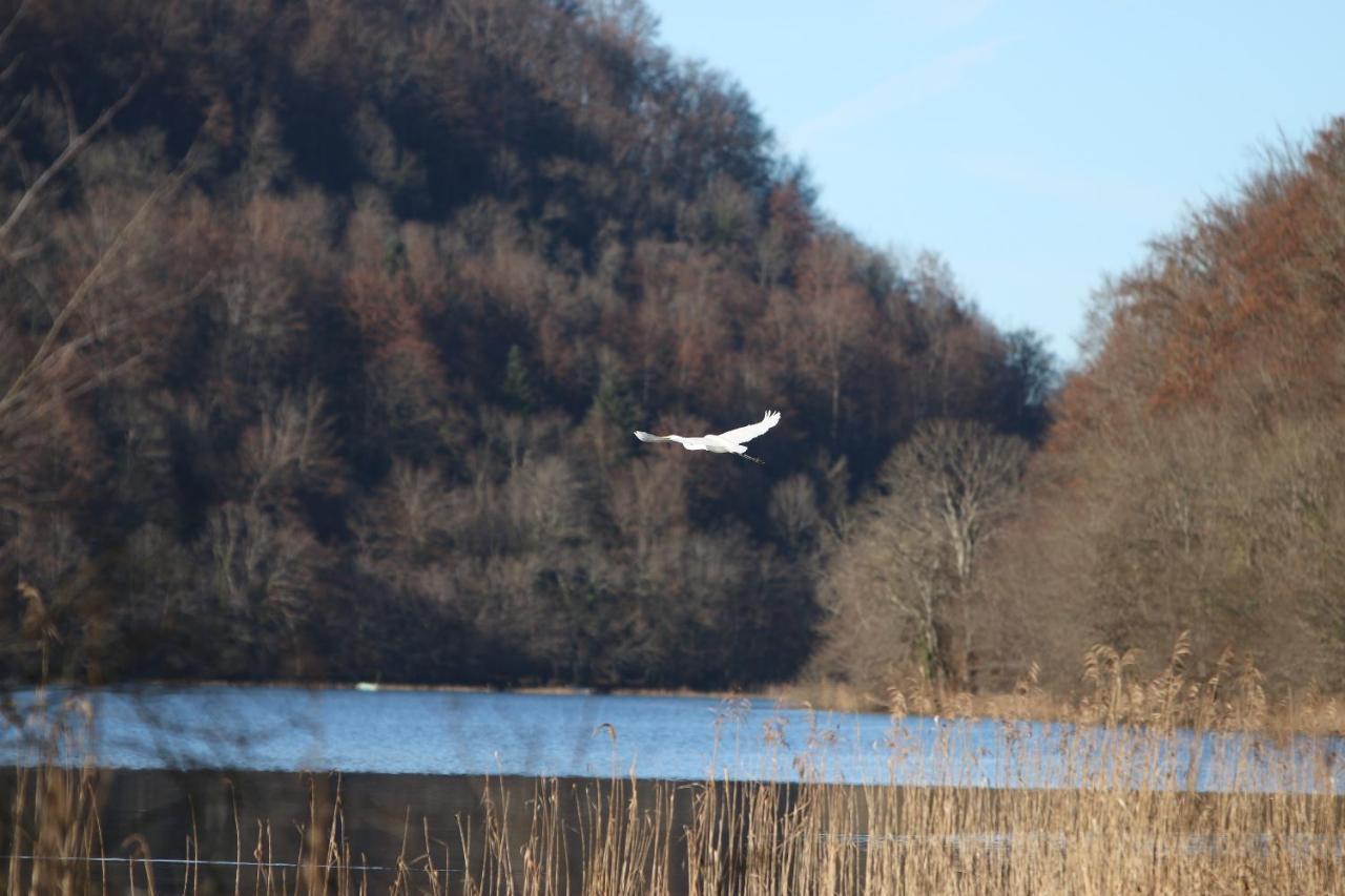 Vila Parc Animalier Du Herisson Doucier Exteriér fotografie