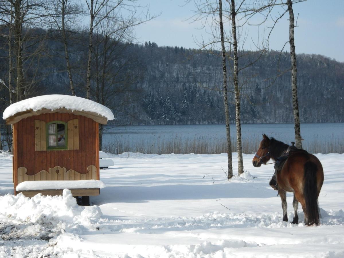 Vila Parc Animalier Du Herisson Doucier Exteriér fotografie