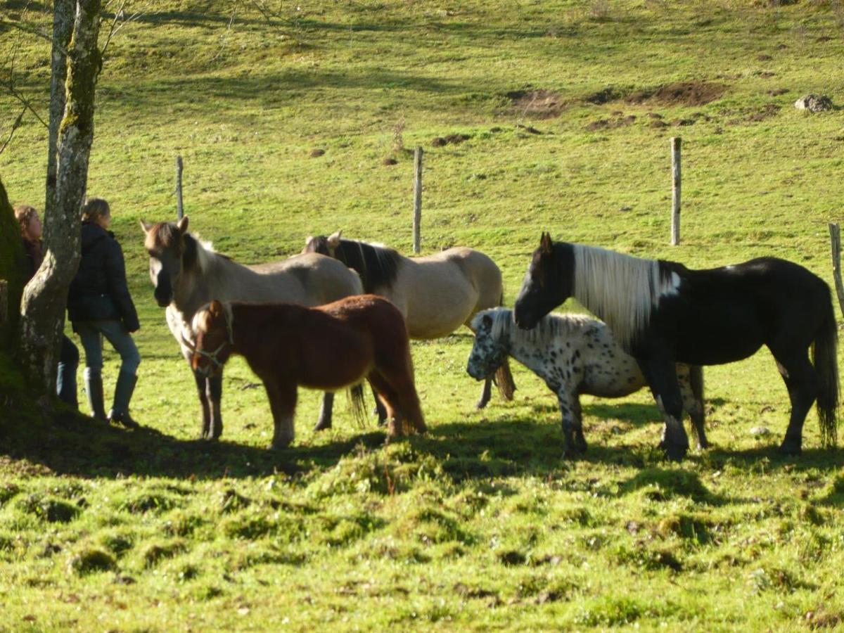 Vila Parc Animalier Du Herisson Doucier Exteriér fotografie