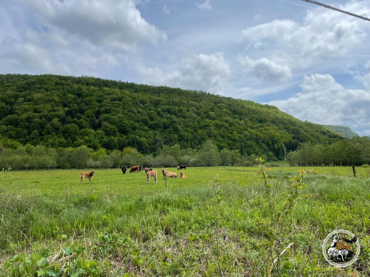 Vila Parc Animalier Du Herisson Doucier Exteriér fotografie