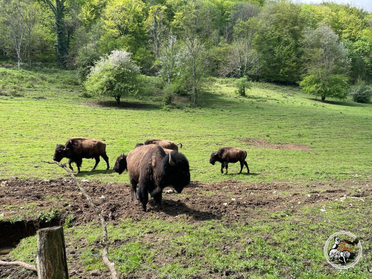 Vila Parc Animalier Du Herisson Doucier Exteriér fotografie